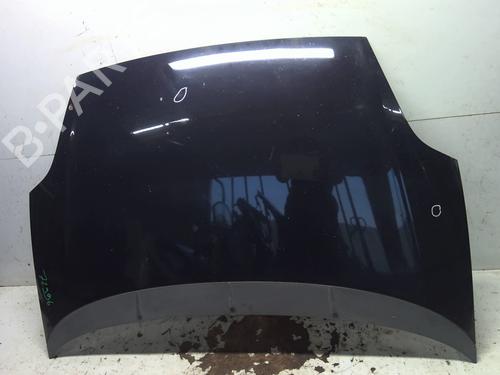 Hood FIAT GRANDE PUNTO (199_) 1.3 D Multijet | BP29498574C1 