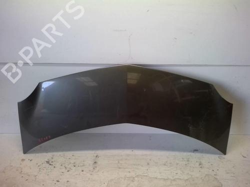 Capot RENAULT MODUS / GRAND MODUS (F/JP0_) 1.5 dCi (FP0E, JP0E) (65 hp) 18229178