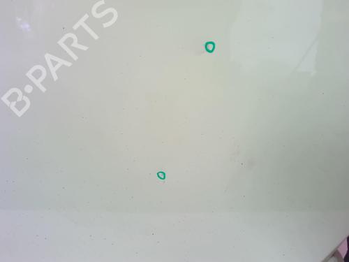 Drzwi przednie prawe VW NEW BEETLE (9C1, 1C1) 1.6 | BP18213717C3 