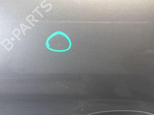 Right front door FIAT BRAVO II (198_) 1.6 D Multijet (198AXH1B) | BP18218336C3 