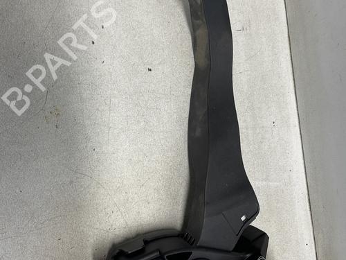 Pedal CITROËN C3 Picasso (SH_) 1.6 HDI 90 | BP25220894I4 