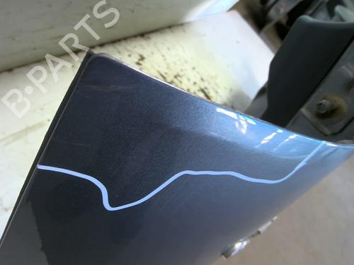 Tailgate CITROËN C3 Picasso (SH_) 1.6 HDI 90 | BP29587120C6 