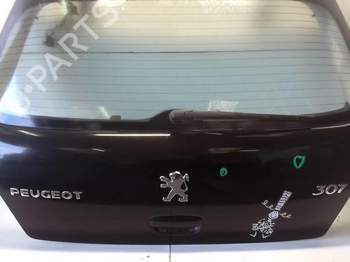 Tailgate PEUGEOT 307 (3A/C) 1.6 16V | BP18224838C6 