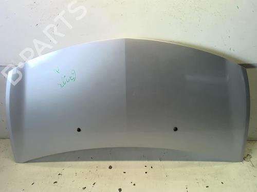 Used Hood RENAULT CLIO III (BR0/1, CR0/1) 1.5 dCi (C/BR0G, C/BR1G) (68 hp) 18213028