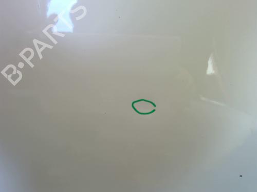 Left rear door CITROËN C3 II (SC_) 1.6 BlueHDi 75 | BP23762496C4 