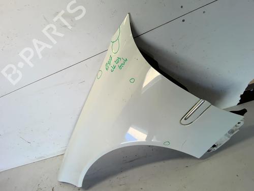 Left front fenders MERCEDES-BENZ CLC-CLASS (CL203) CLC 220 CDI (203.708) | BP18215837C41 
