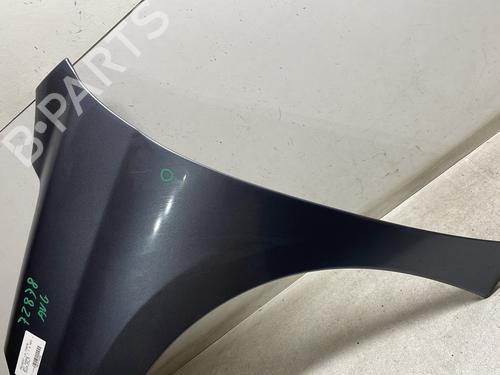 Left front fenders PEUGEOT 207 (WA_, WC_) 1.6 HDi | BP29174117C41 