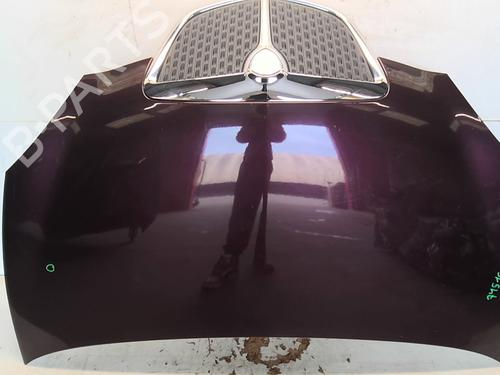 Used Hood LANCIA YPSILON (843_) 1.4 (843.AXG1A) (78 hp) 24521801