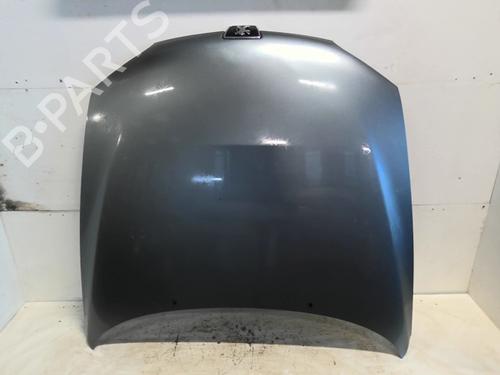 Used Hood PEUGEOT 406 Coupe (8C) 2.2 HDI (133 hp) 30900008