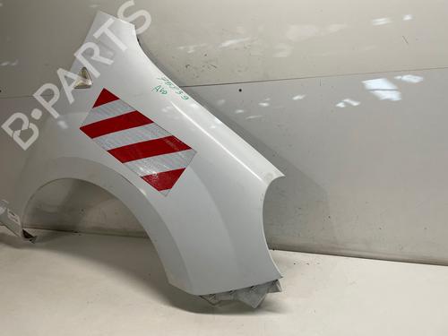 Used Right front fenders Right front fenders RENAULT KANGOO Express (FW0/1_) [2008-2026] 36762331 36762331