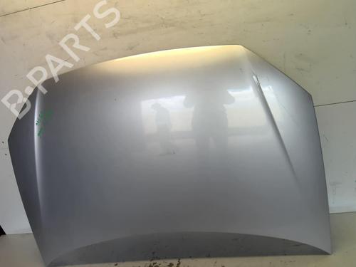 Used Hood VW POLO IV (9N_, 9A_) 1.4 TDI (80 hp) 18215848
