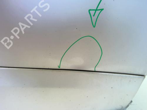 Right front door RENAULT SCÉNIC III (JZ0/1_) 1.6 dCi (JZ00, JZ12) | BP23762627C3 
