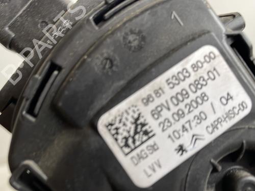 Pedal Pedal PEUGEOT 308 SW I (4E_, 4H_) 1.6 16V (140 hp) 24451142 24451142
