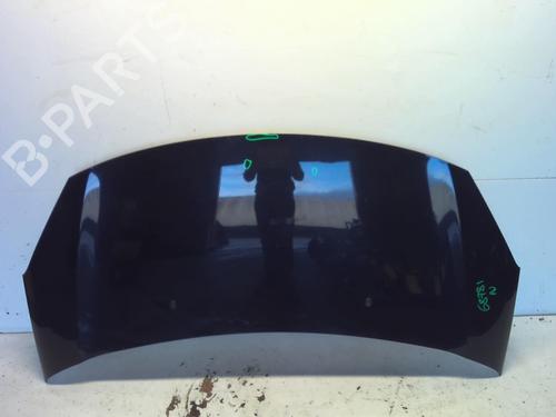 Hood CITROËN C3 II (SC_) 1.6 BlueHDi 75 | BP18212575C1 