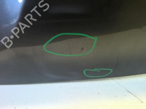 Tailgate FORD FIESTA V (JH_, JD_) 1.25 16V | BP18223304C6