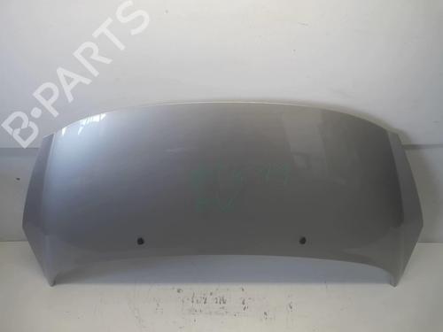 Used Hood PEUGEOT 207 (WA_, WC_) 1.4 (73 hp) 18214472
