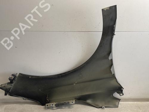 Left front fenders CITROËN C4 II (NC_) 1.6 HDi 115 | BP29544021C41 