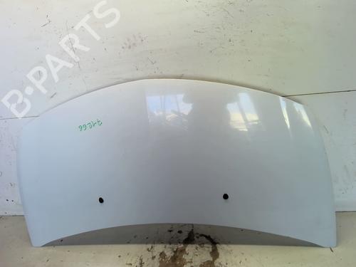 Hood RENAULT CLIO III (BR0/1, CR0/1) 1.5 dCi (C/BR0G, C/BR1G) | BP25892408C1 