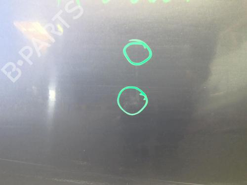 Left front door RENAULT TWINGO II (CN0_) 1.2 16V (CN04, CN0B) | BP23762638C2 