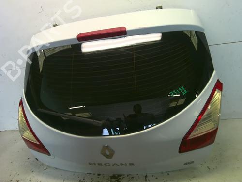 Tailgate RENAULT MEGANE III Hatchback (BZ0/1_, B3_) 1.6 dCi (BZ00, BZ12, BZ13) | BP29158781C6 