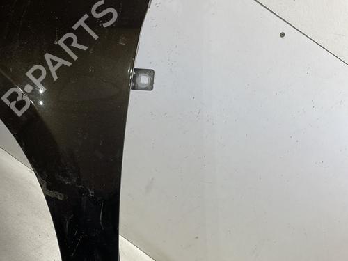Left front fenders RENAULT CLIO III (BR0/1, CR0/1) 1.4 16V | BP25346593C41