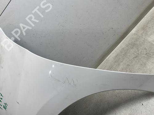 Left front fenders PEUGEOT 207 (WA_, WC_) 1.4 HDi | BP27486436C41 