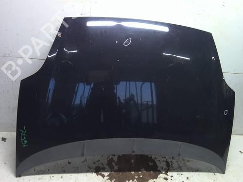 Hood FIAT GRANDE PUNTO (199_) 1.3 D Multijet | BP29498574C1 