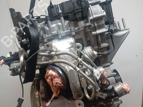 Used Engine FORD FIESTA VII Van 1.0 EcoBoost Flex (95 hp) 28573929