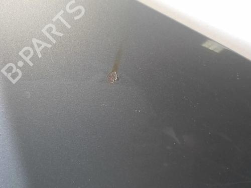 Used Hood VW PASSAT B5.5 (3B3) 1.9 TDI (130 hp) 18232383