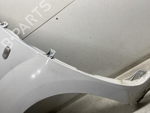 Left front fenders RENAULT KANGOO Express (FW0/1_) 1.5 dCi 90 (FW0G, FW05, FW08, FW11) | BP29744579C41 