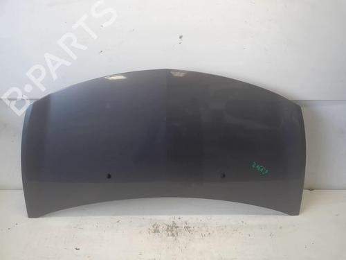 Used Hood RENAULT CLIO III (BR0/1, CR0/1) 1.5 dCi (BR17, CR17) (86 hp) 18228019