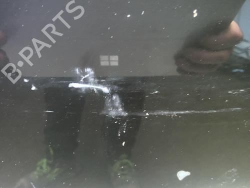 Used Hood RENAULT SCÉNIC III (JZ0/1_) 1.5 dCi (110 hp) 18216761