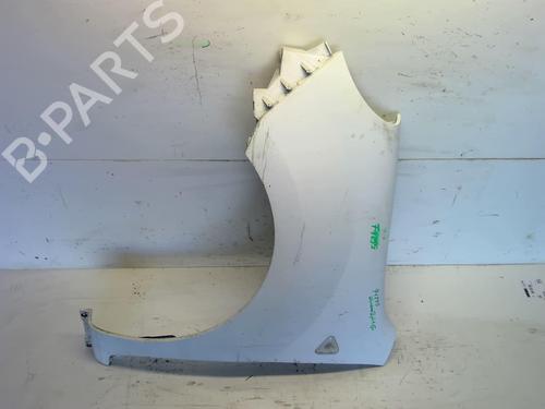 Left front fenders RENAULT KANGOO / GRAND KANGOO II (KW0/1_) 1.5 dCi 90 (KW05, KW08, KW0G, KW11) | BP22556585C41 