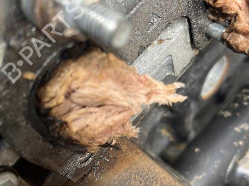 Engine FORD KA (RU8) 1.2 | BP29428762M1 
