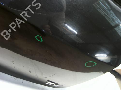 Tailgate RENAULT CLIO III (BR0/1, CR0/1) 1.2 16V | BP23846895C6 