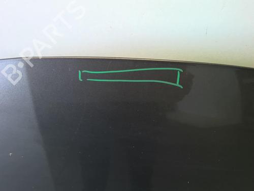 Hood RENAULT CLIO III Grandtour (KR0/1_) 1.5 dCi (KR0F) | BP18220088C1