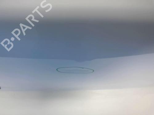 Hood RENAULT CLIO III (BR0/1, CR0/1) 1.2 16V (BR02, BR0J, BR11, CR02, CR0J, CR11) | BP18208674C1 