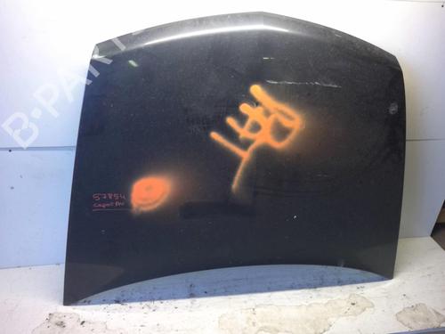 Used Hood RENAULT VEL SATIS (BJ0_) 2.2 dCi (BJ0E, BJ0F) (150 hp) 18211885