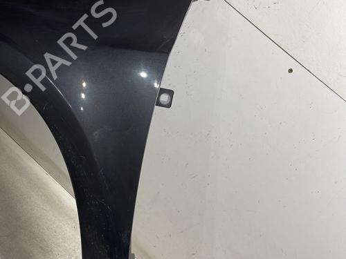 Left front fenders RENAULT CLIO III (BR0/1, CR0/1) 1.5 dCi (BR17, CR17) | BP26947124C41 