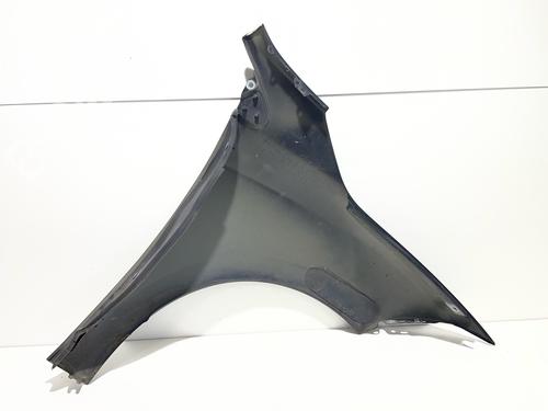 left-front-fenders-renault-megane-iii-hatchback-bz01_-b3_-2008-38062027 main image