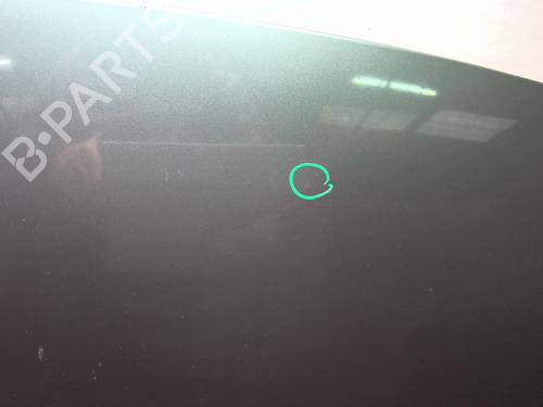 Hood RENAULT GRAND SCÉNIC II (JM0/1_) 1.5 dCi (JM1E) | BP18209921C1 