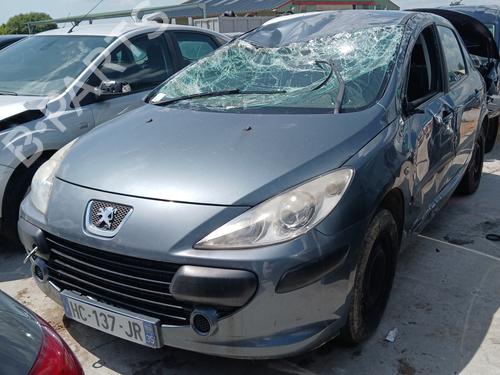 Tailgate PEUGEOT 307 (3A/C) 1.6 HDi | BP26496672C6 