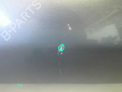 Right front door PEUGEOT 406 (8B) 2.0 HDI 110 | BP18217135C3 
