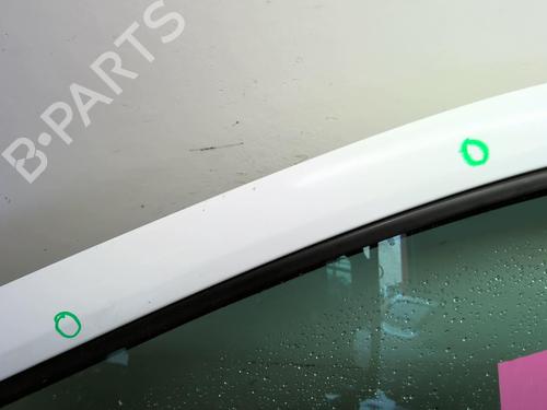 Left front door RENAULT CLIO III (BR0/1, CR0/1) 1.5 dCi | BP18843745C2 
