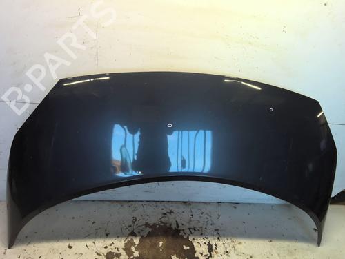 Hood RENAULT SCÉNIC II (JM0/1_) 1.9 dCi (JM14) | BP29501428C1 