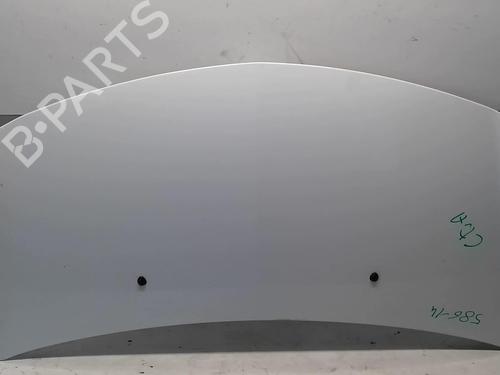 Used Hood RENAULT CLIO III (BR0/1, CR0/1) 1.5 dCi (C/BR0G, C/BR1G) (68 hp) 18211832