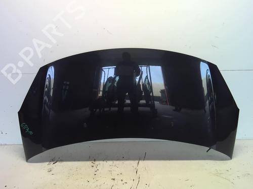 Used Hood CITROËN C3 II (SC_) 1.6 HDi 90 (90 hp) 18219378