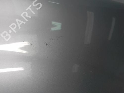 Forkjerm høyre RENAULT MEGANE II (BM0/1_, CM0/1_) 1.5 dCi (BM1E, CM1E) (106 hp) 18217868