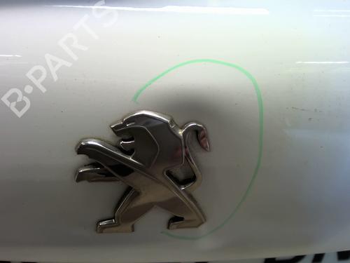 Tailgate PEUGEOT 208 I (CA_, CC_) 1.2 THP 110 | BP29202020C6