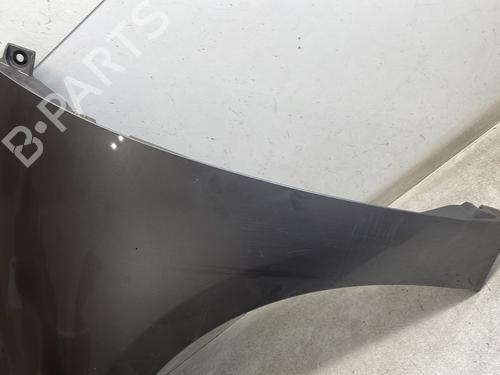 Left front fenders RENAULT SCÉNIC III (JZ0/1_) 1.5 dCi | BP30391112C41